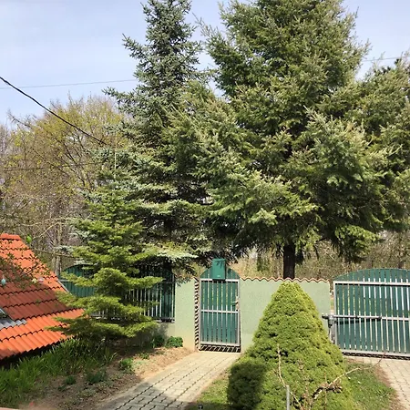 Bakonyi Mamutfenyo Vendeghaz Tes