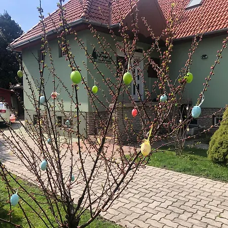 Bakonyi Mamutfenyo Vendeghaz *