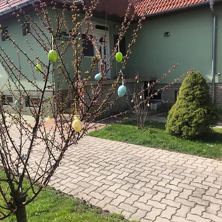 Bakonyi Mamutfenyo Vendeghaz Tes
