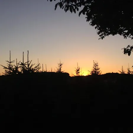 Bakonyi Mamutfenyo Vendeghaz * Tés