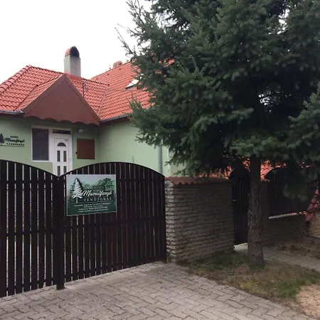 Bakonyi Mamutfenyo Vendeghaz Lejlighed Tés