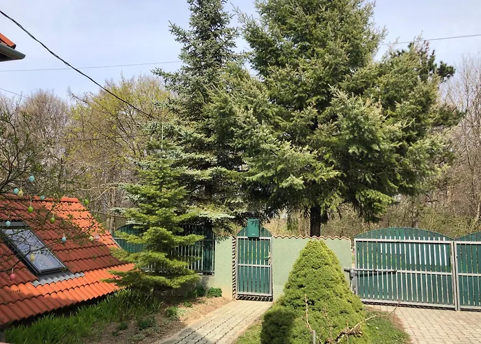 Bakonyi Mamutfenyo Vendeghaz Tés