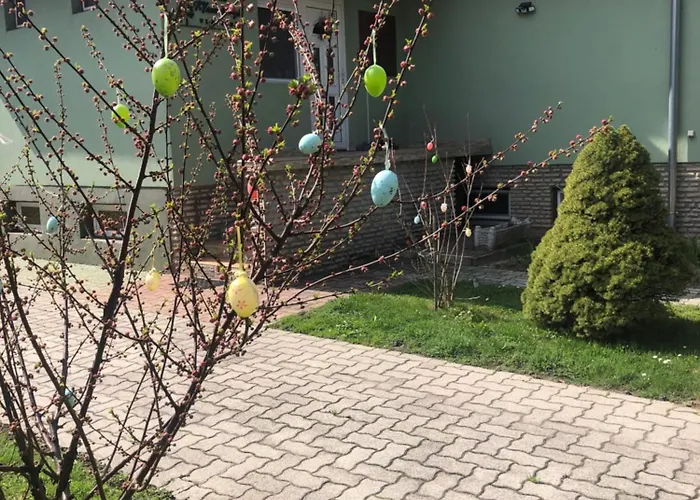 Bakonyi Mamutfenyo Vendeghaz Tés
